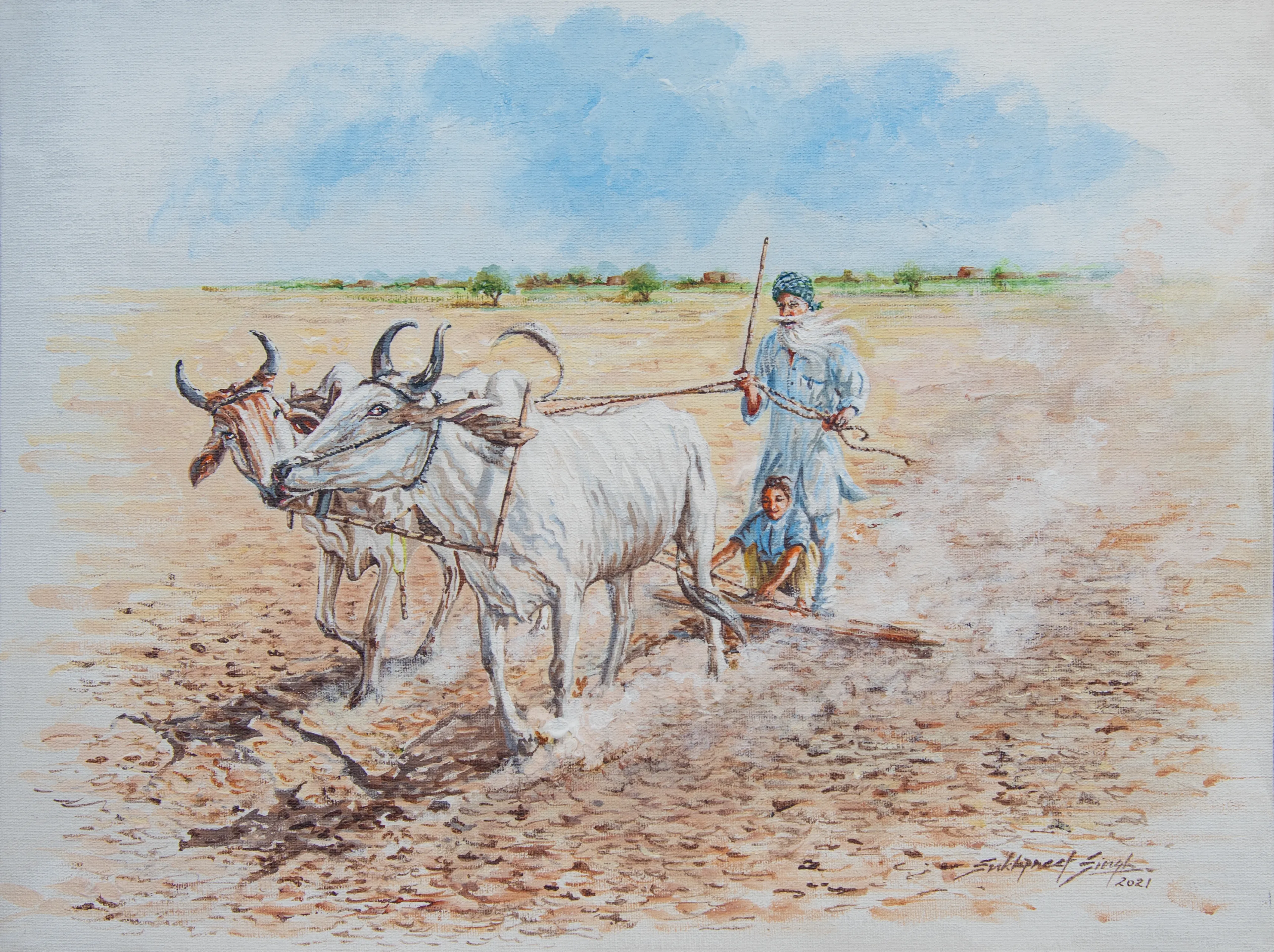 Farming in Punjab