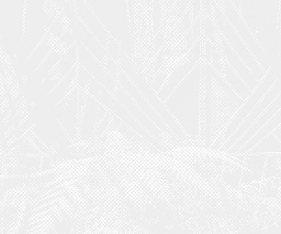 fondo-seccion-ofertas