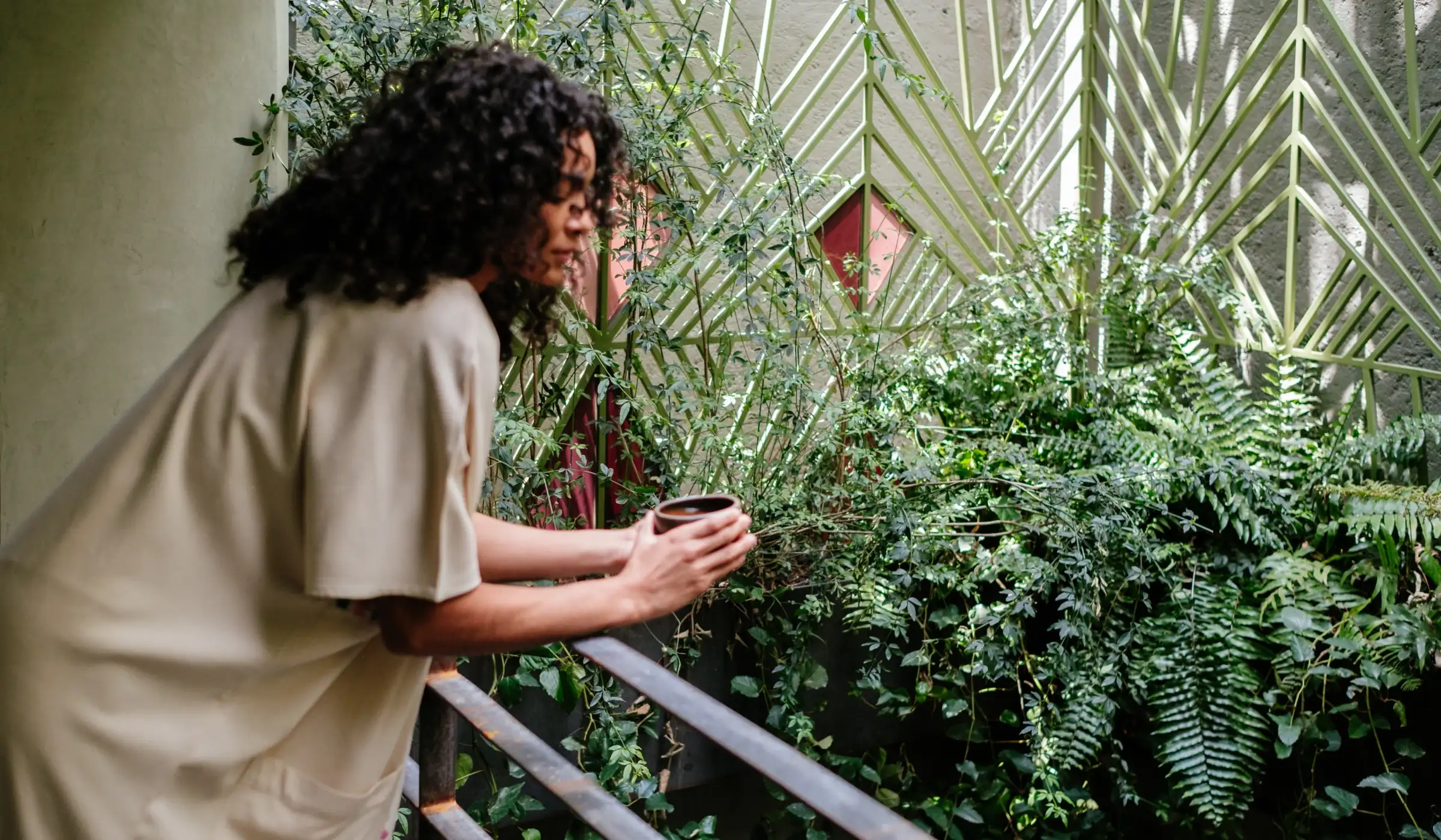 10 Reasons to Stay at Colima 71: The Design Hotel in La Roma Mexico City