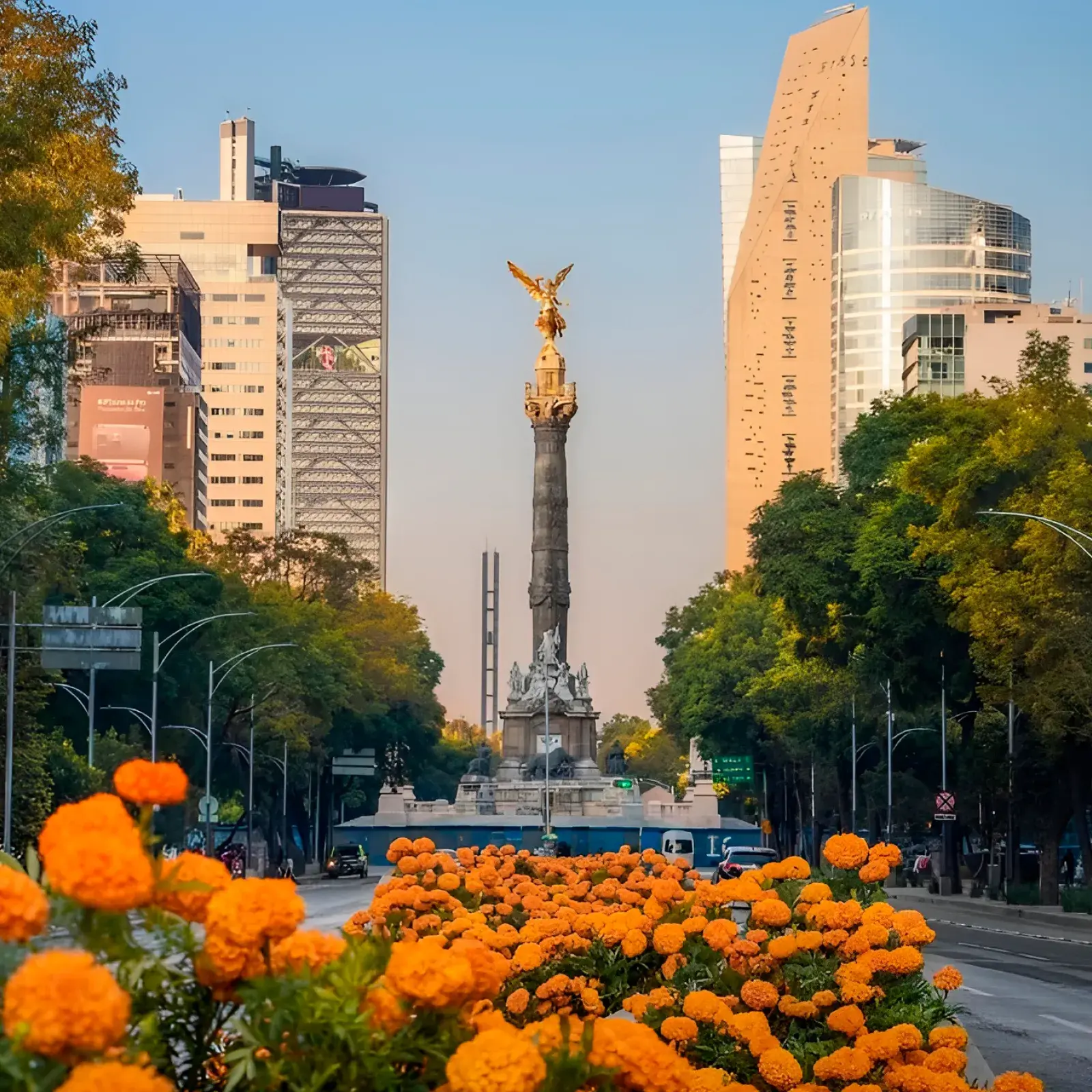 Preventa de Otoño