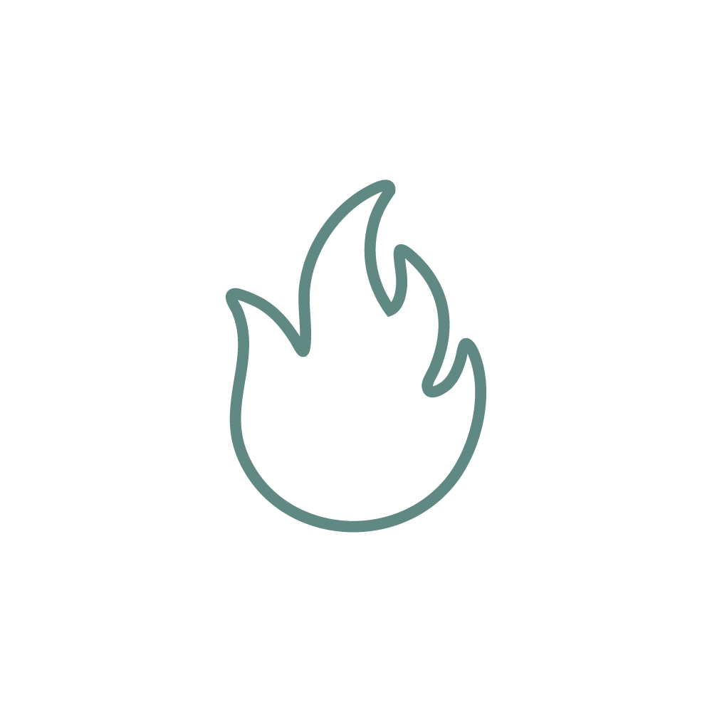 Icon for fire
