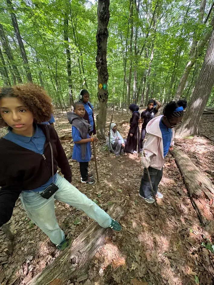 Students hiking through a wooded forest on a school field trip