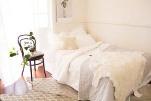 Where is your rug going to be placed? - Talie Jane Interiors