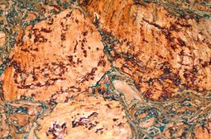 Cork In Interior Design - Talie Jane Interiors - South Lake Tahoe