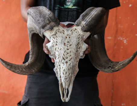 Screen Shot 2015-05-09 at 1.53.11 PM