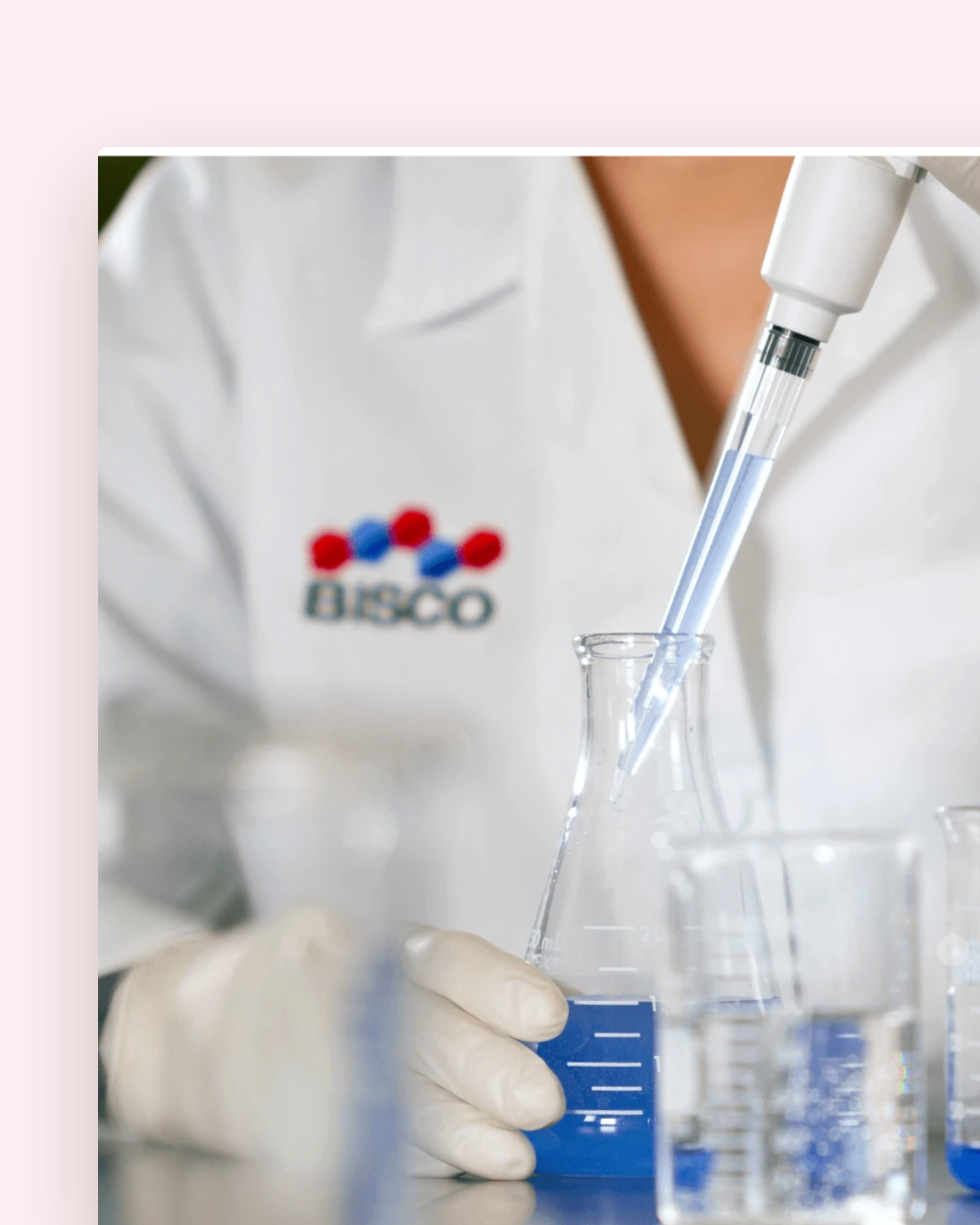 Bisco Dental