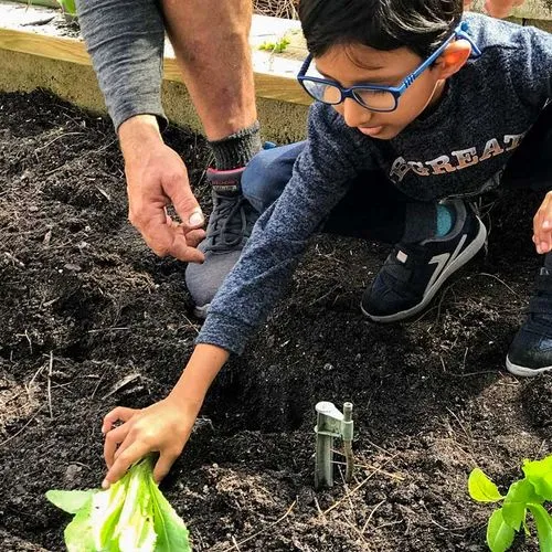 Gardening for food with children
