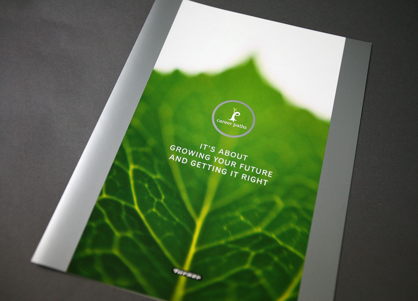 Turner paths front cover