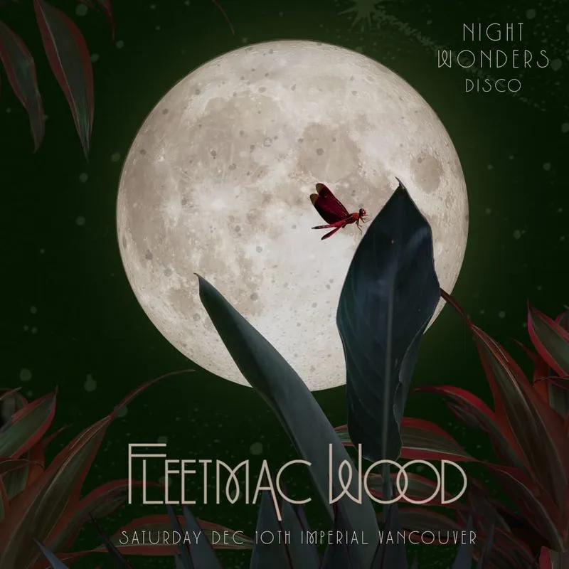 Fleetmac Wood: Night Wonders Disco