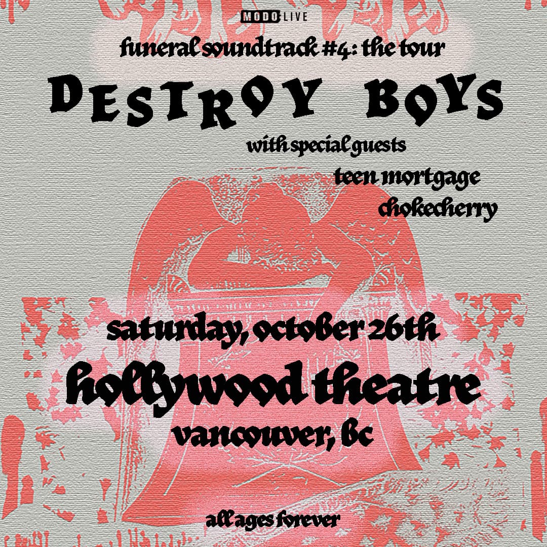 Destroy Boys