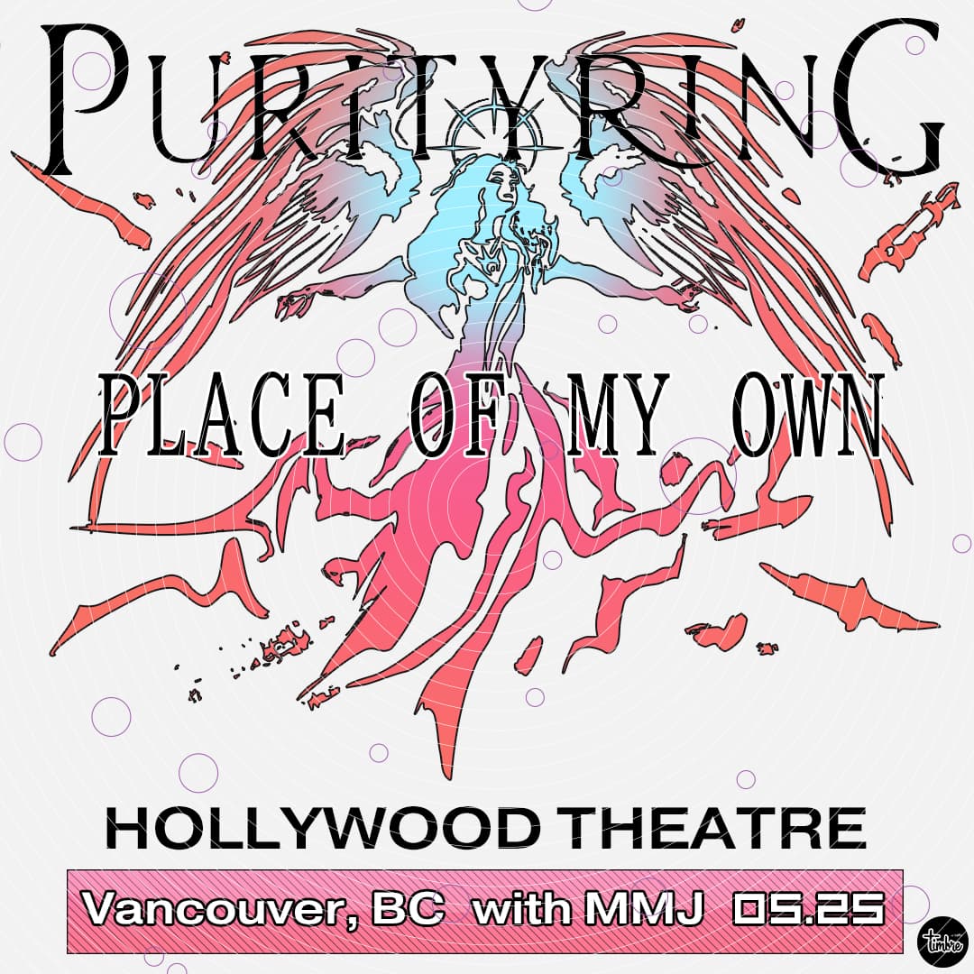 PURITY RING