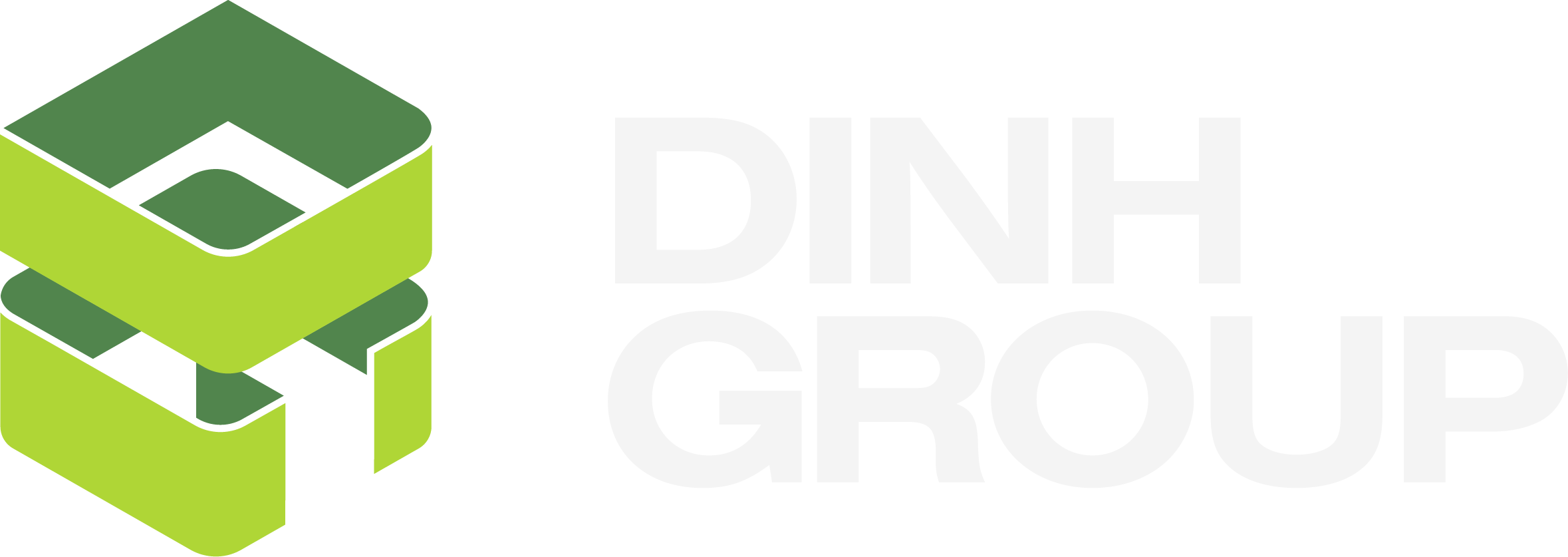 DINH GROUP logo with a green geometric cube design on the left and white bold text on the right.
