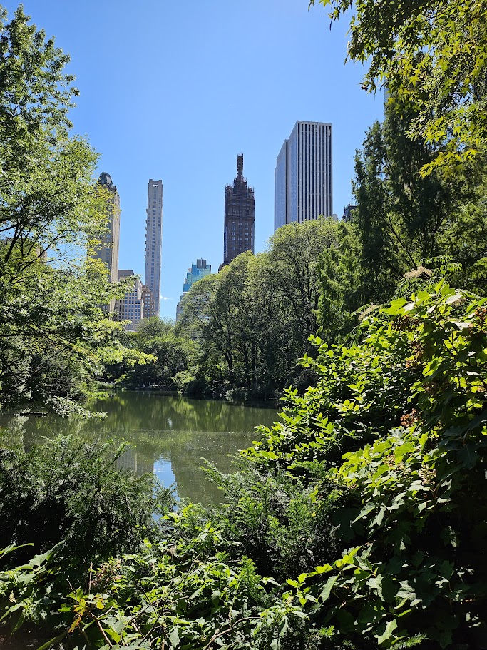 urban cityscape with water and park