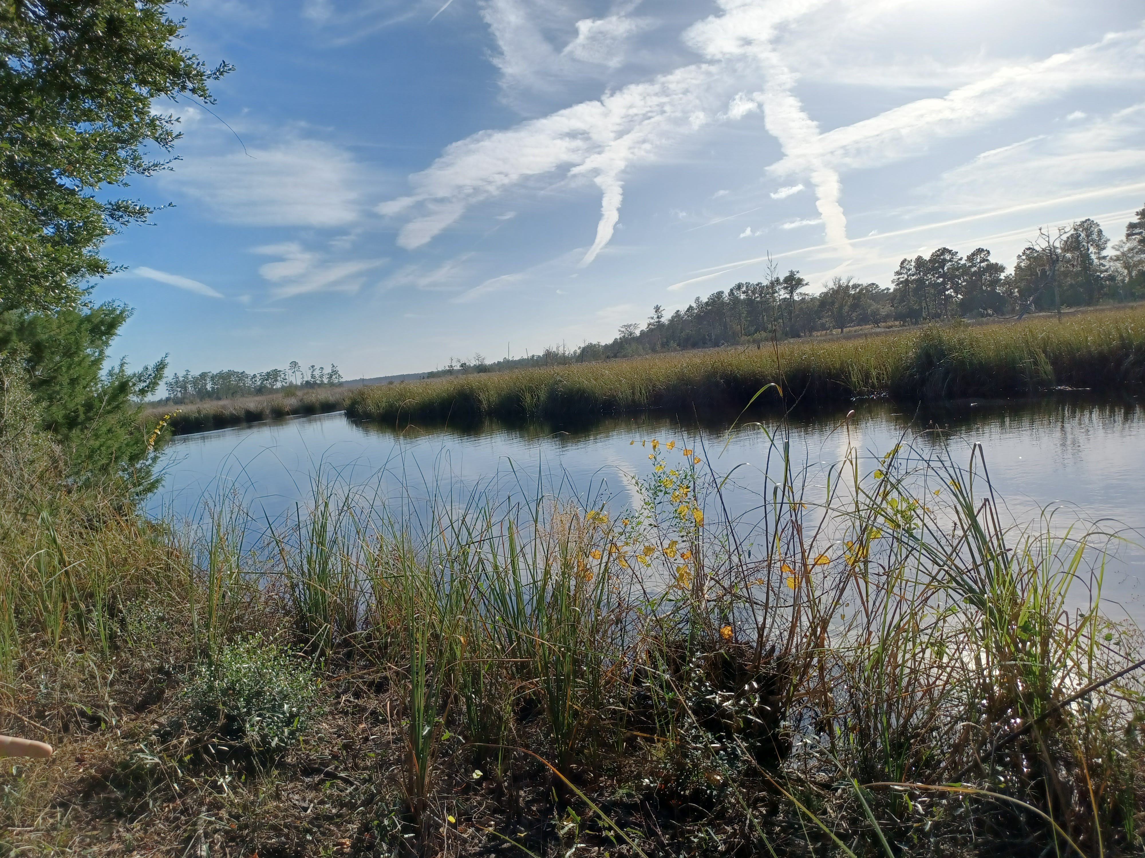 image of architecture firm consultation