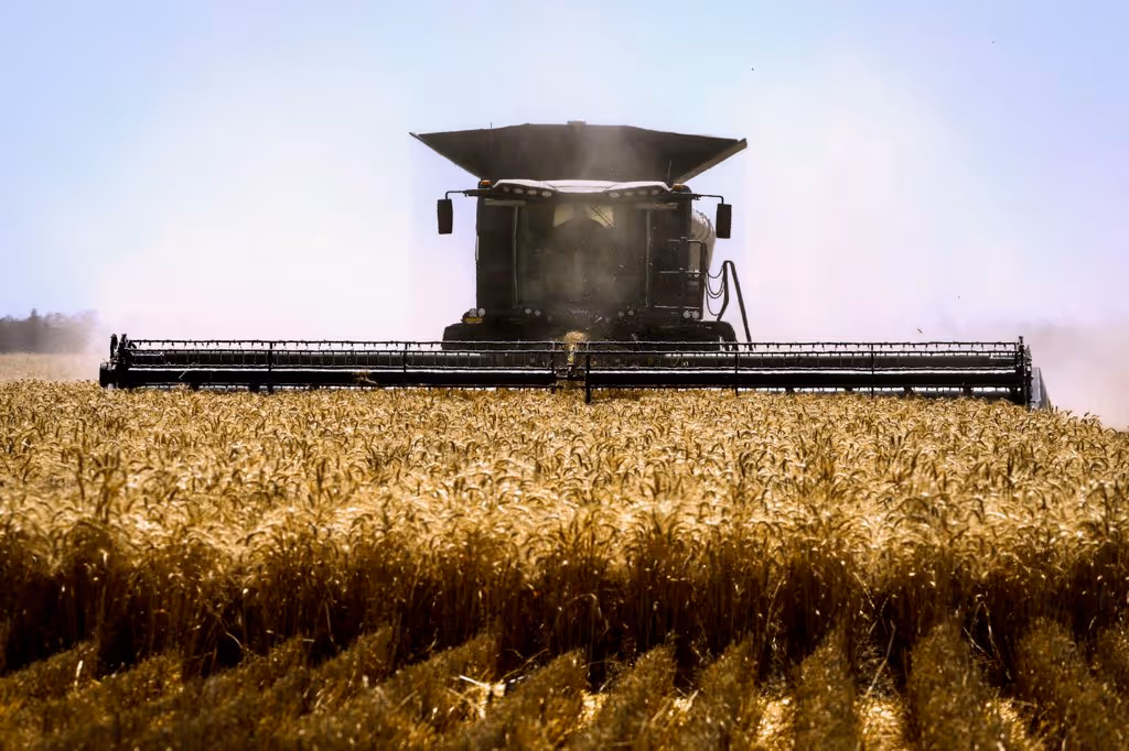 Large farm machine in wheat paddock
