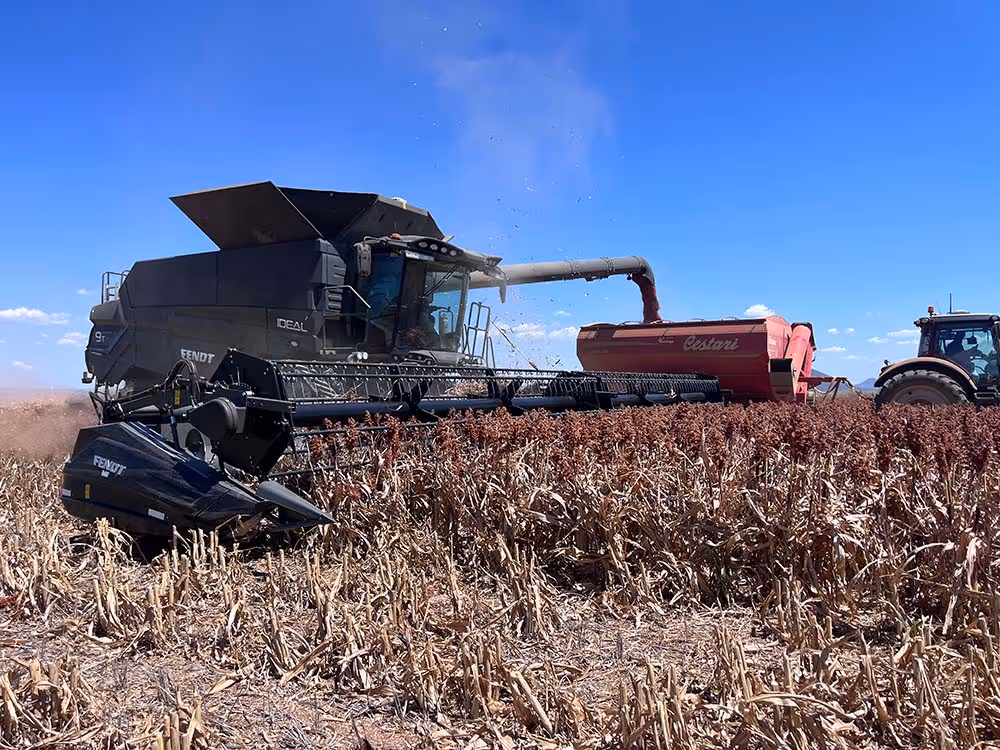 Large farm machine in wheat paddock