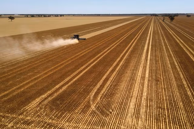 Large farm machine in wheat paddock