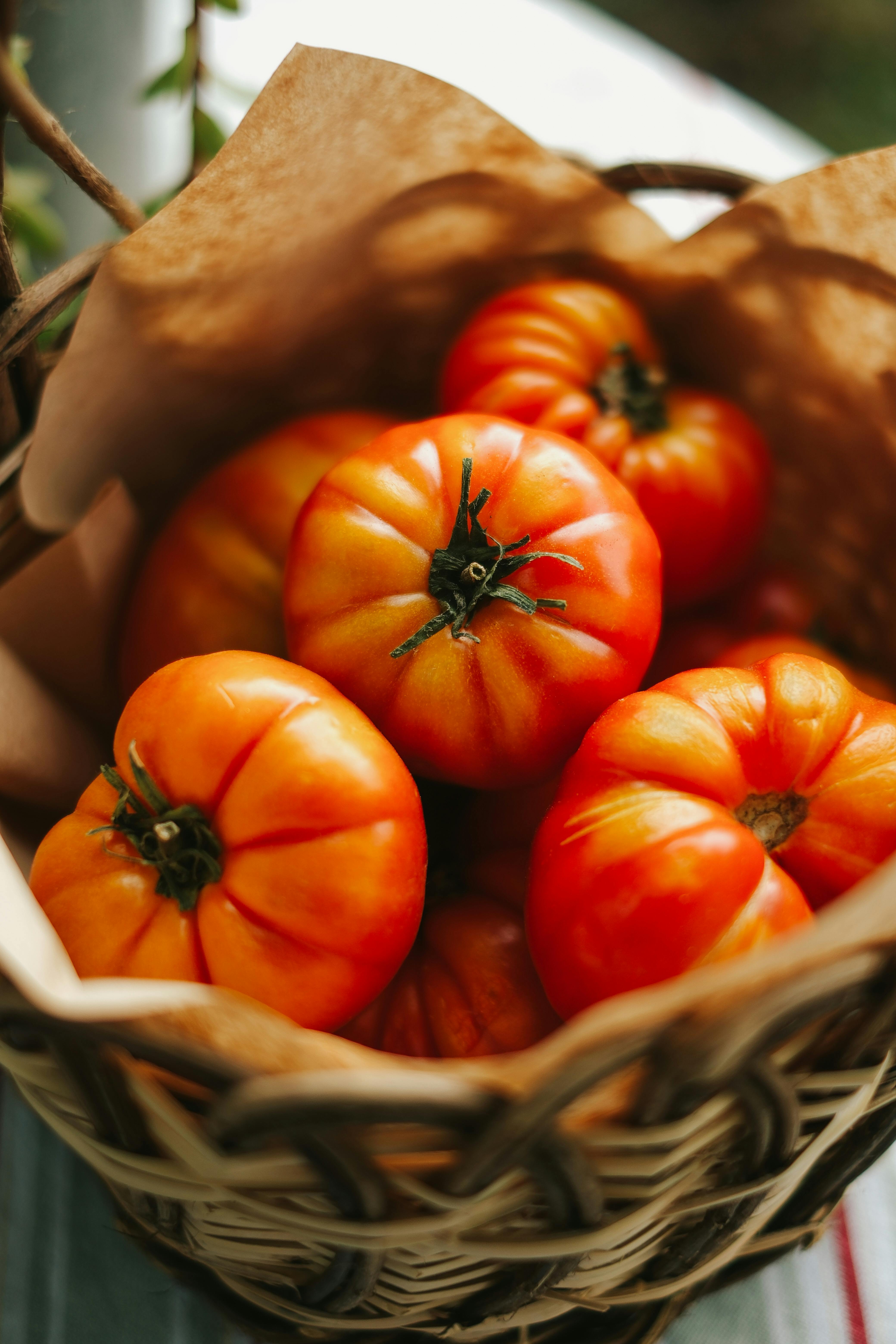 [background image] image of local landscape (for a bed & breakfast)