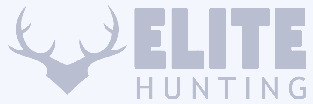 austin website design