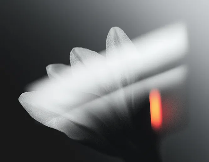 kreascape-home-three-service-image-two