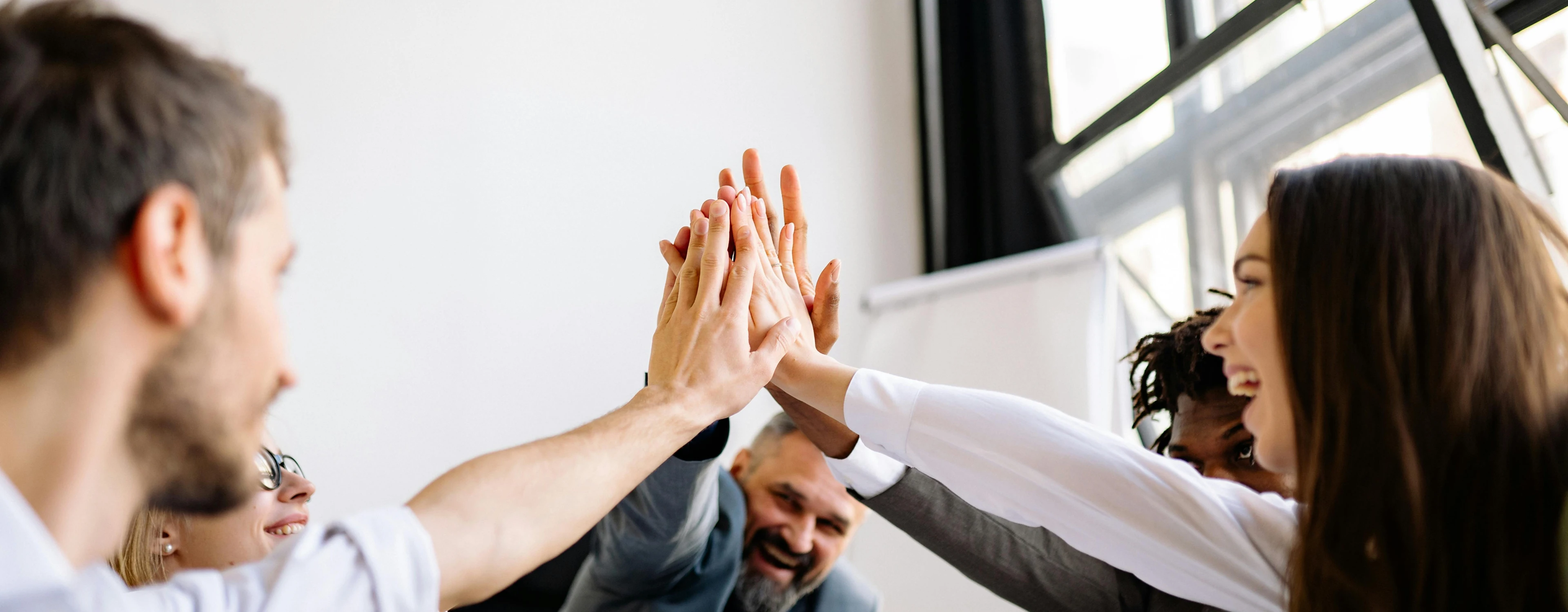 Altnest-team-banner-image