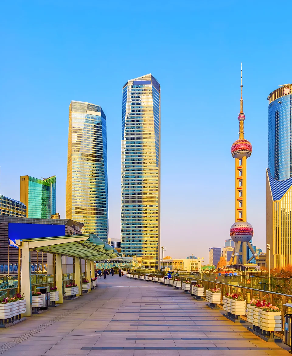 Altnest projects cards image