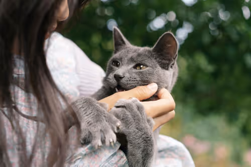 a person holding a cat