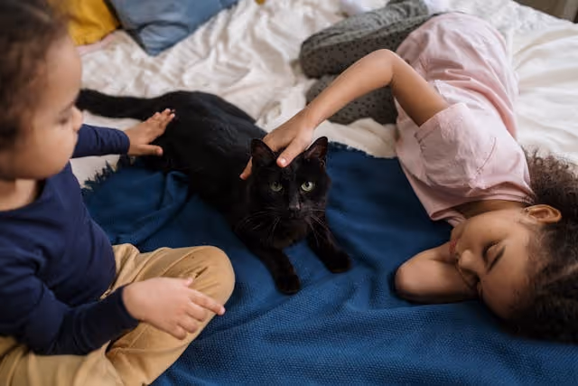 two kids playing with a black cat on a bed