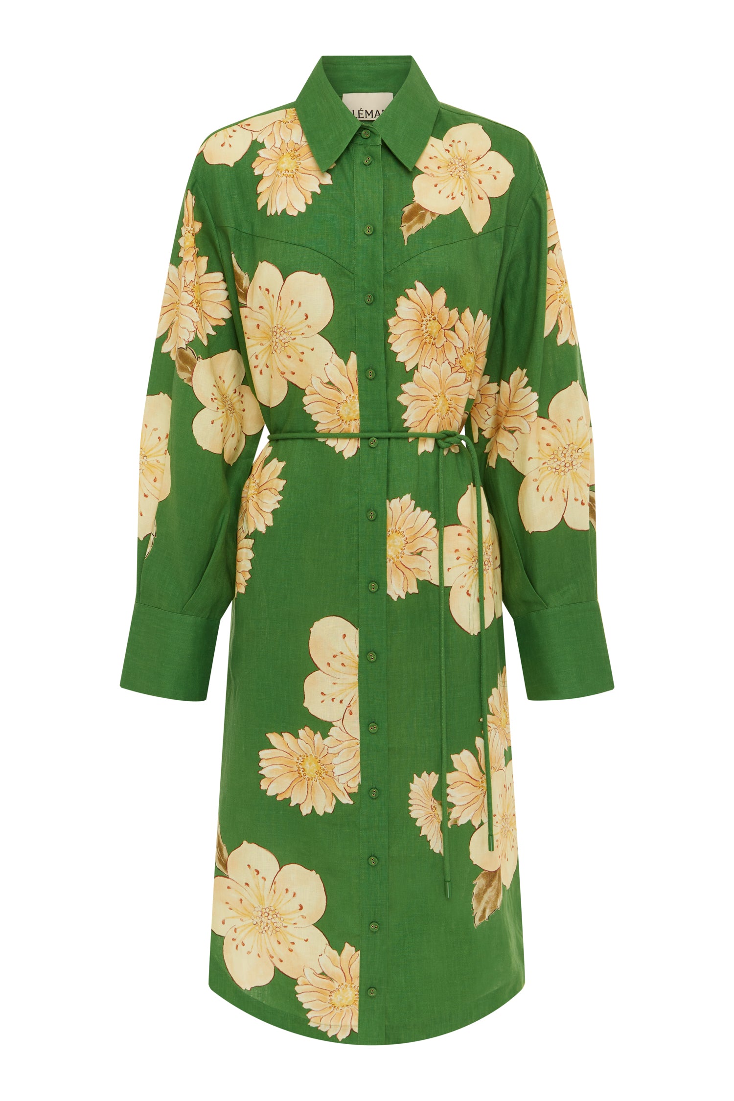 Sage Shirtdress