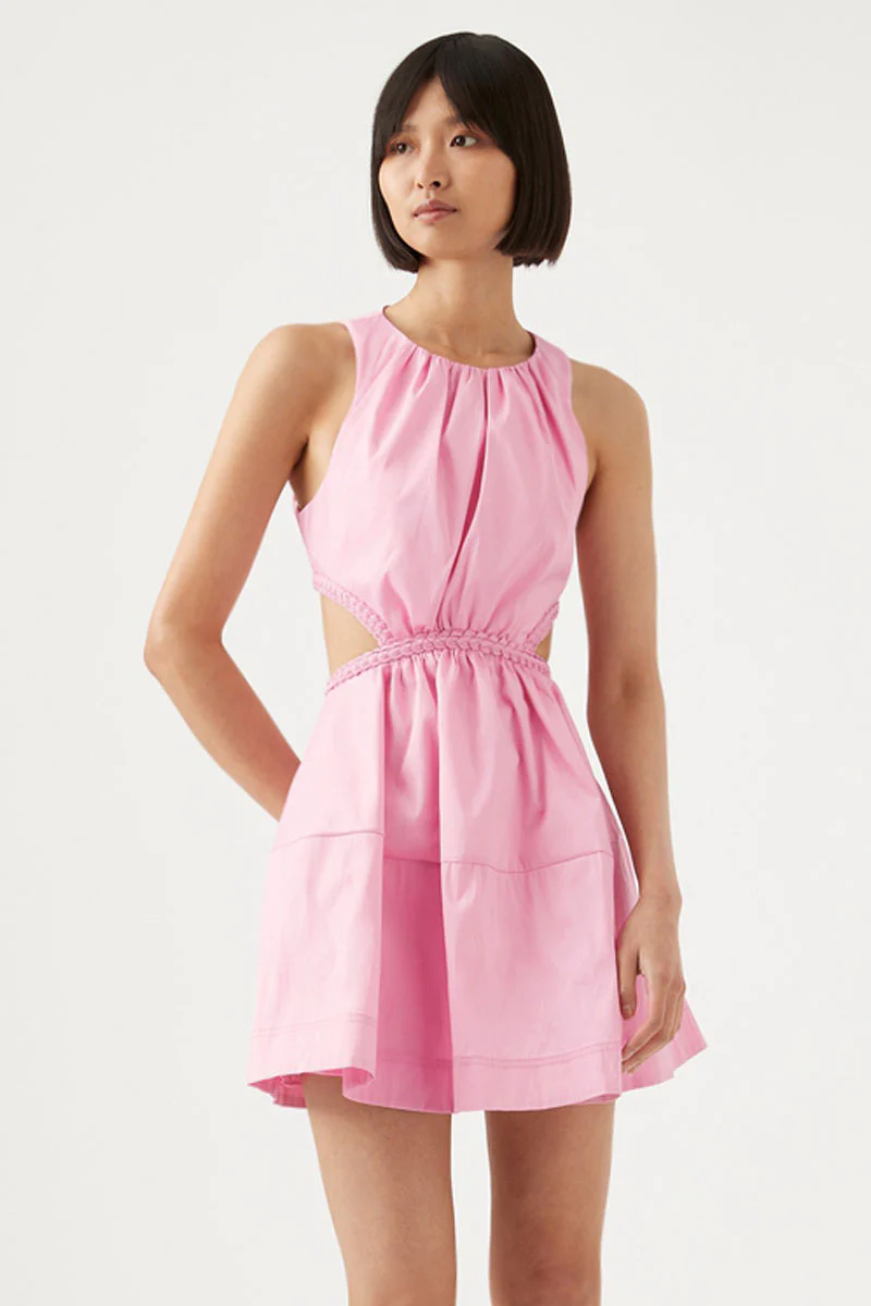 Voyage Braied Cut Out Mini Dress