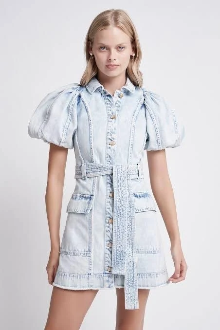 Framework Denim Puff Sleeve Dress