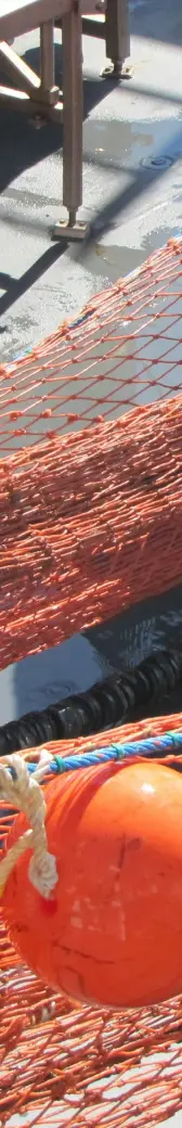 Food & Beverage Industry