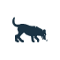 dog-training-johnsoncity.jpg