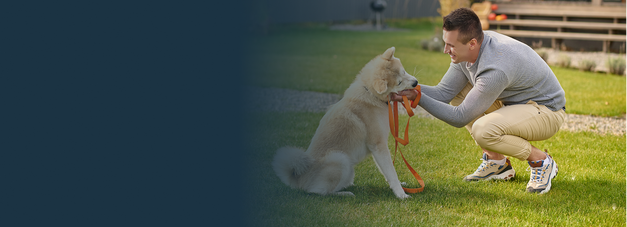 dog-trainer-ben-johnsoncity.jpg