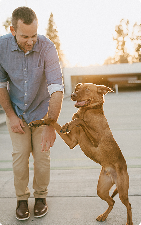 dog-trainer-ben-johnsoncity.jpg