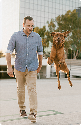 dog-trainer-ben-johnsoncity.jpg