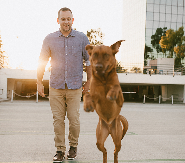 Dog jumping in front of trainer during obedience training