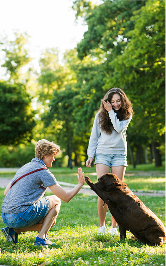 Positive reinforcement training with fun tricks like high-five.