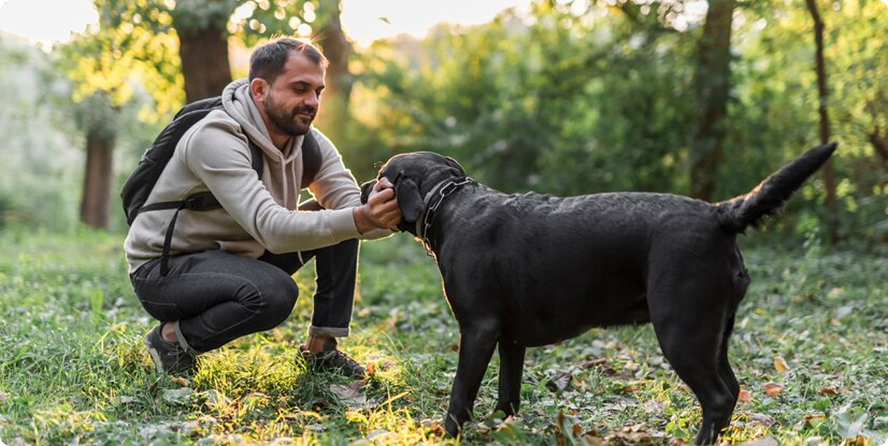 Dog trainer showing affection to a calm dog during behavior training