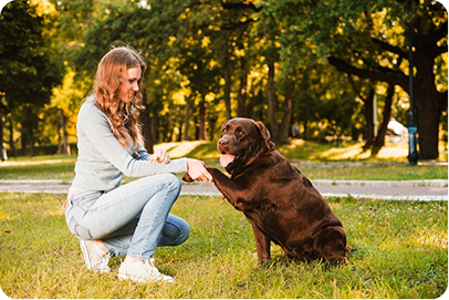 Trainer working with dog on leash outdoors