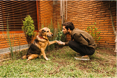 Trainer working with dog on leash outdoors