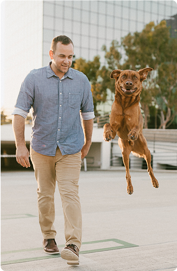 dog-trainer-ben-johnsoncity.jpg