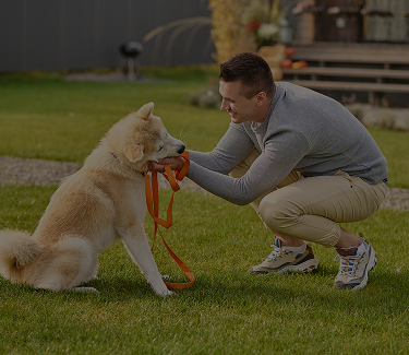 dog-trainer-ben-johnsoncity.jpg