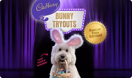 Bunny Tryouts image