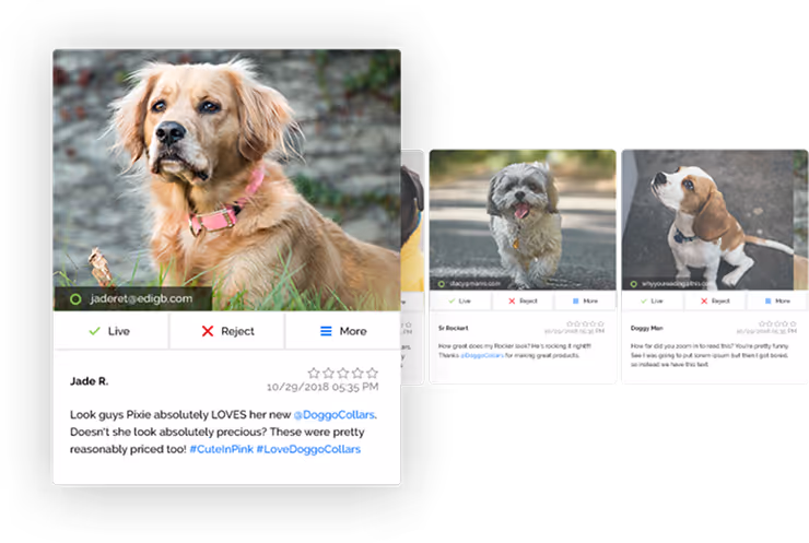 Retriever image