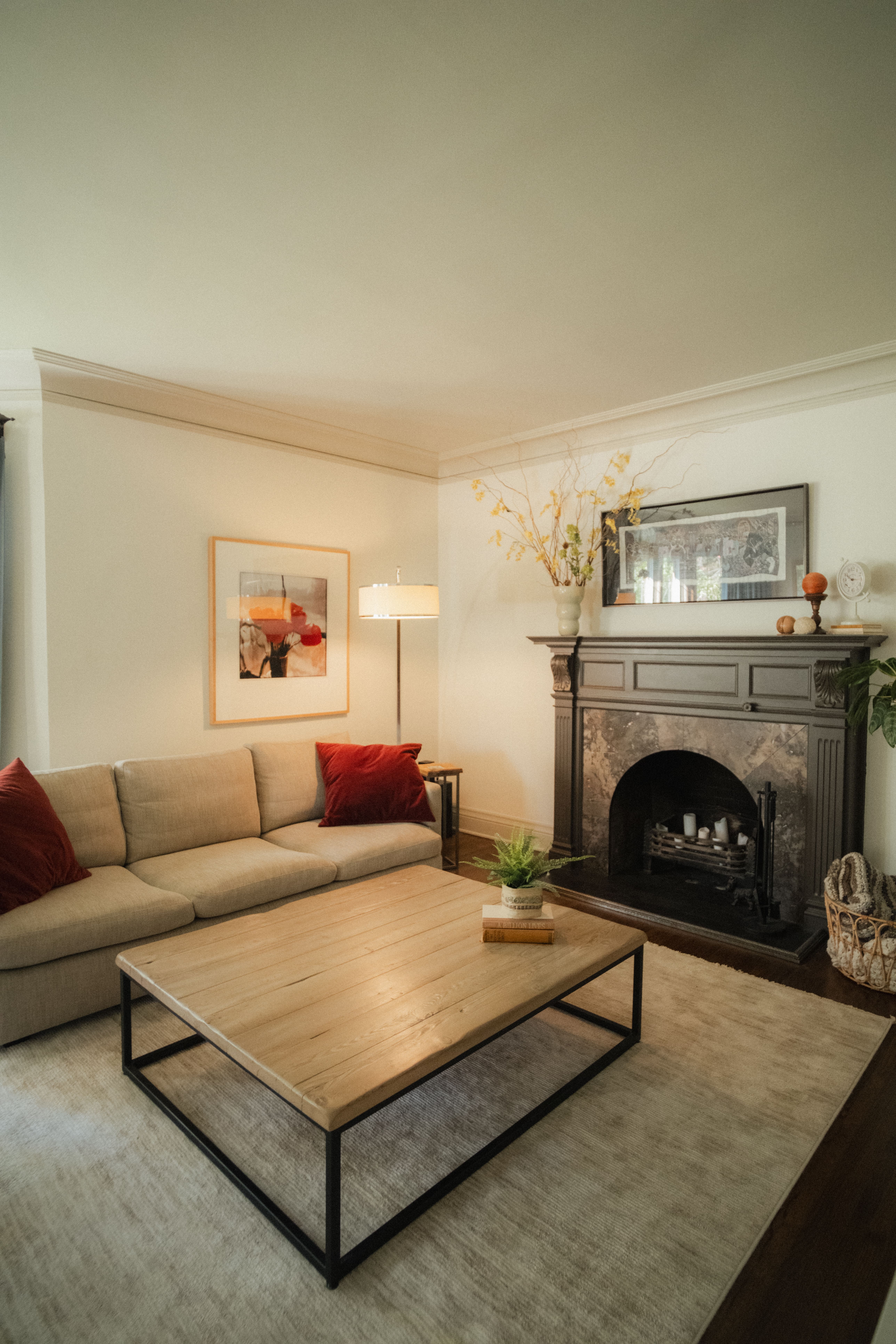 Living room interior, freshly painted walls with fireplace and sofa