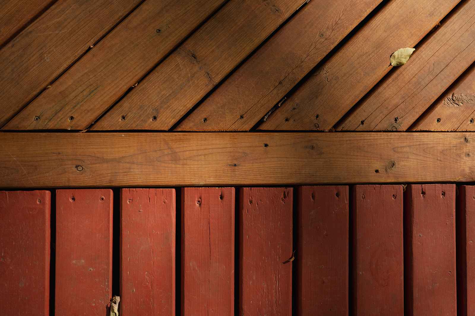 Strata property exterior, freshly painted wooden fence