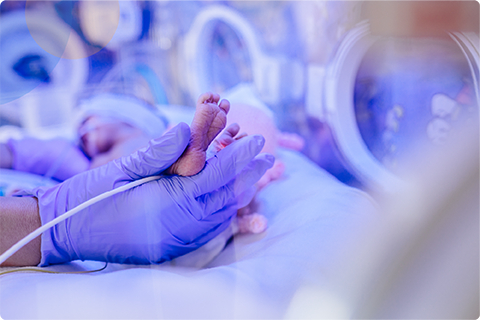 Medical professional wearing purple gloves gently holds premature newborn's tiny feet in a neonatal unit.