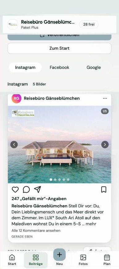 Screenshot SPLASH Studio auf dem Handy: fertiger Instagram-Beitrag des Testbüros Reisebüro Gänseblümchen, mit Logo im Bild