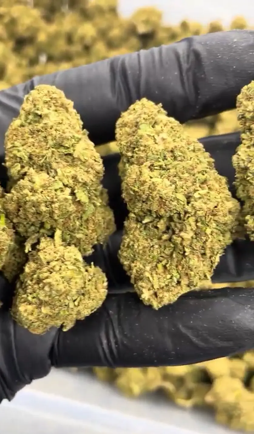 Mango Haze